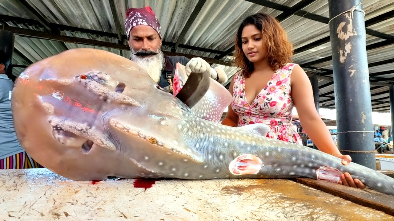 Extreme Precision! Amazing Guitarfish Fast & Perfect Guitarfish Cutting Master of Shifu