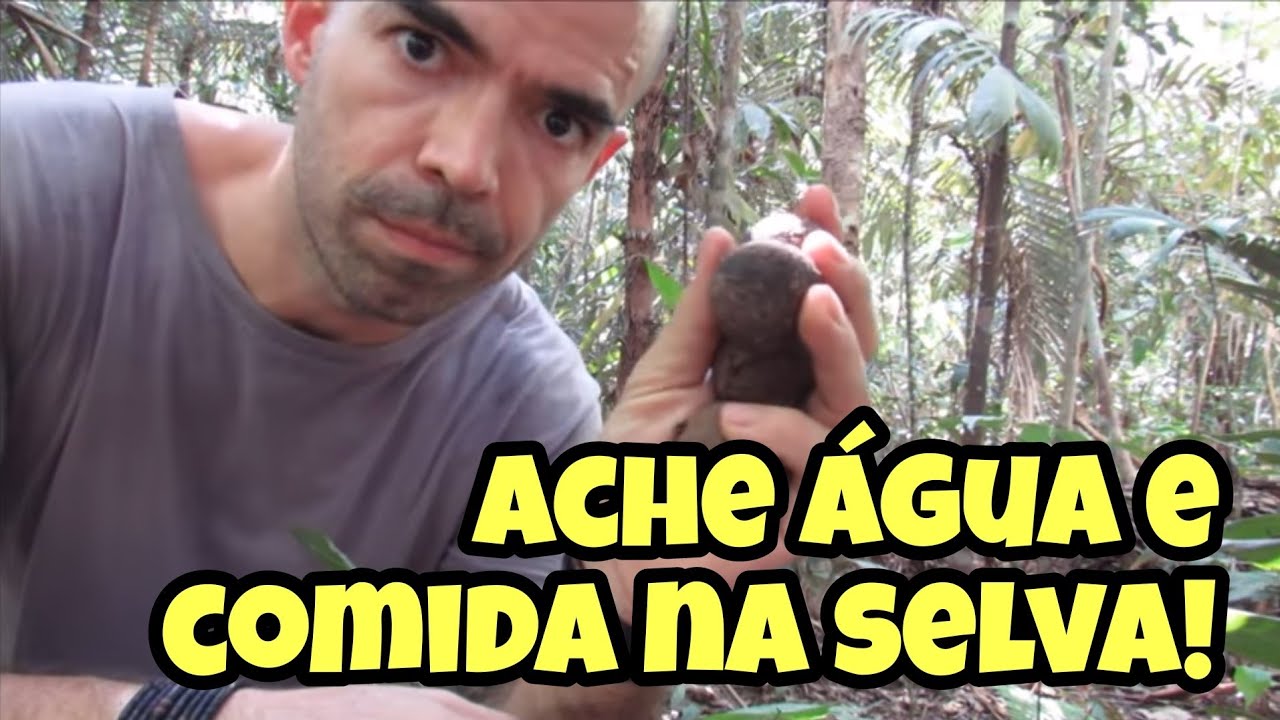 COMO ACHAR ÁGUA E COMIDA NA SELVA ??? | SOBREVIVÊNCIA NA SELVA (Resposta a uma TAG)