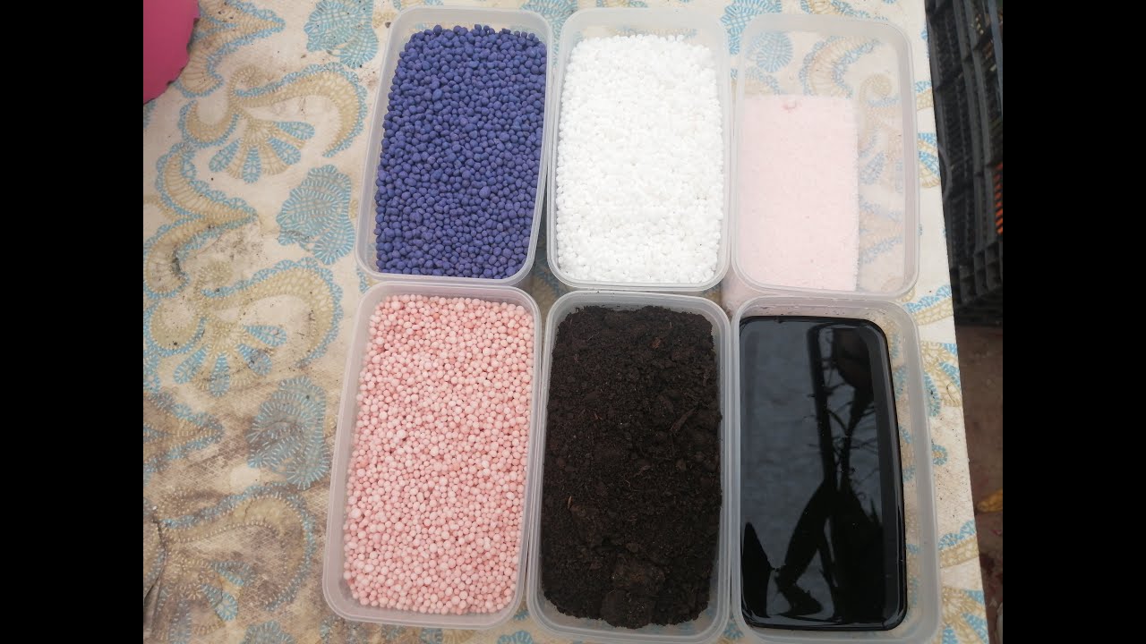 FERTILIZANTES PARA AMARILLYS PARTE II