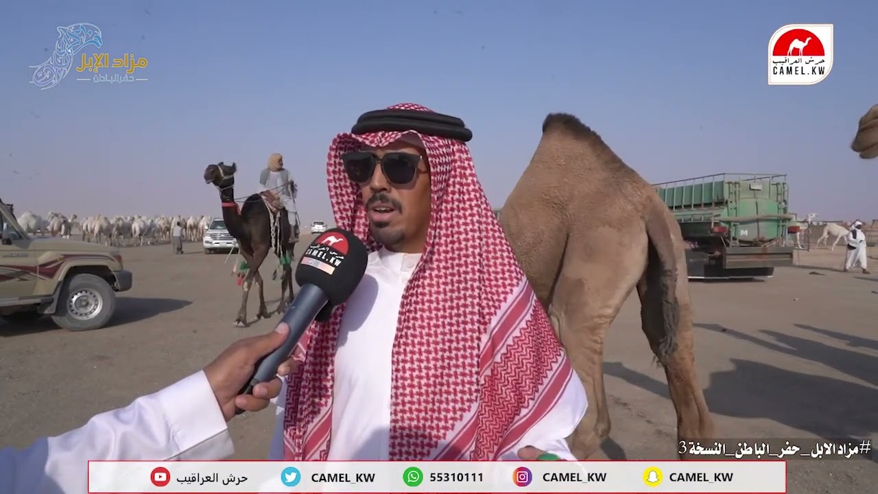 لقاء مع المشاركين في #مزاد_حفر_الباطن