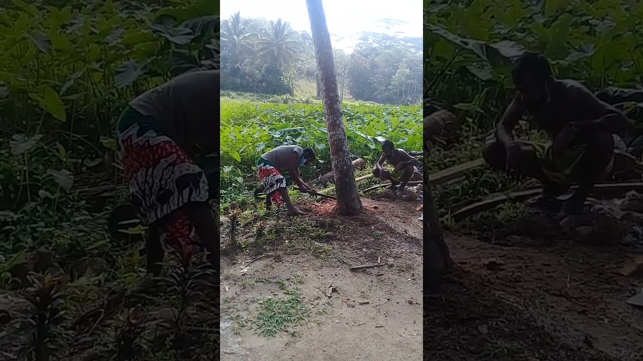 Nature n Rural Culture Explorer 💚💛💙💜❤