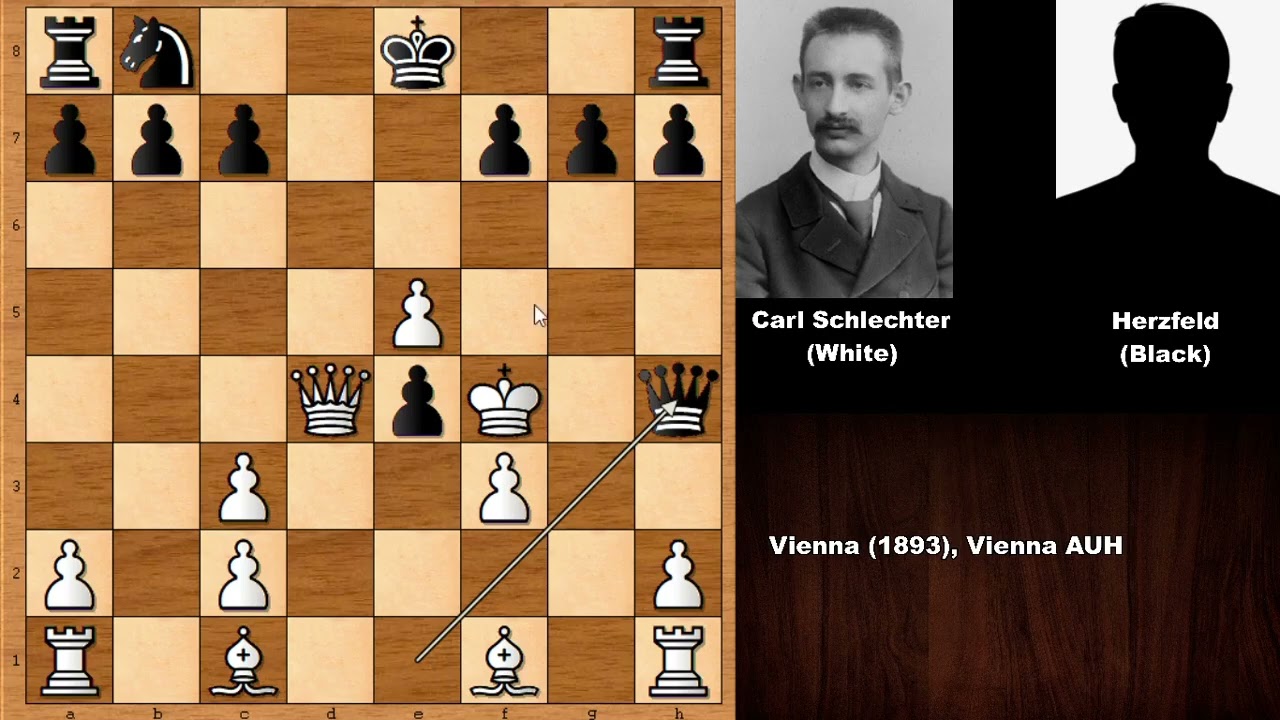 Slugfest Wild Chess Game: Carl Schlechter vs Herzfeld - Vienna (1893)