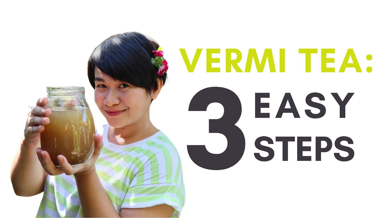 How to Make Vermi Tea in 3 Easy Steps