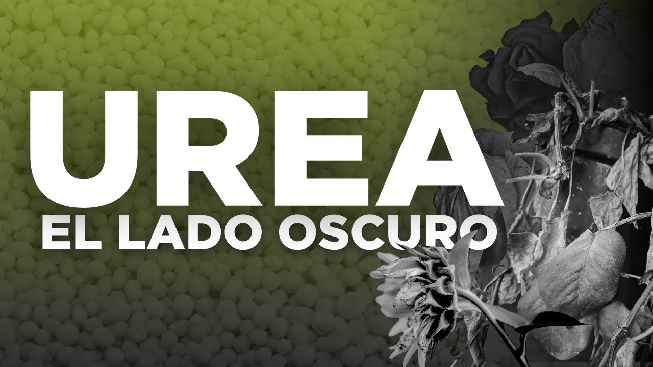UREA | El lado oscuro