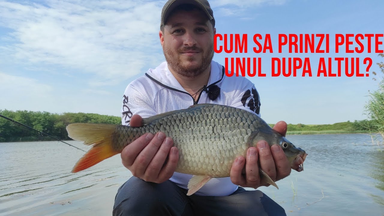 Pescuit la feeder: Cum sa prinzi caras si ciortan rapid