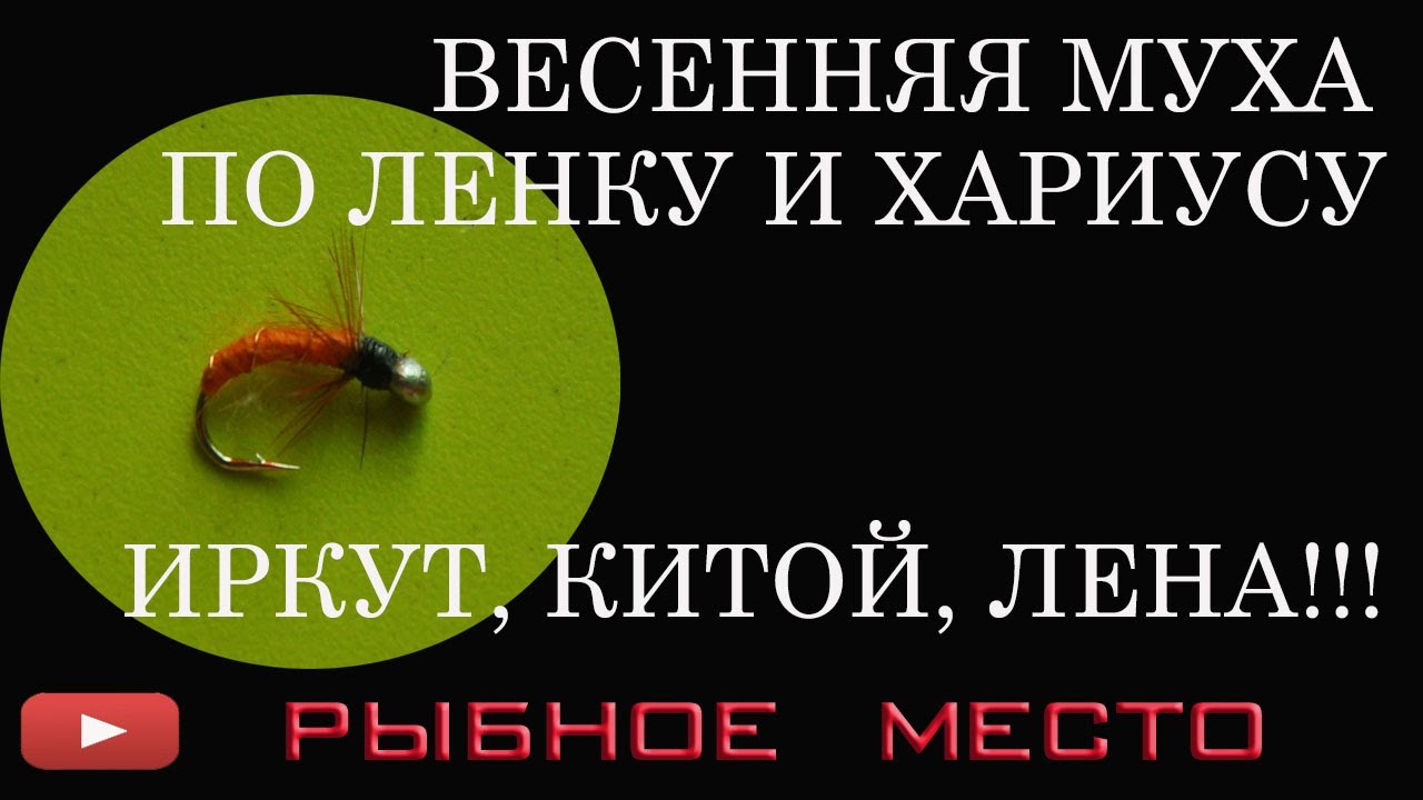 Мушка Морковка, простая, проверенная временем по хариусу и ленку.