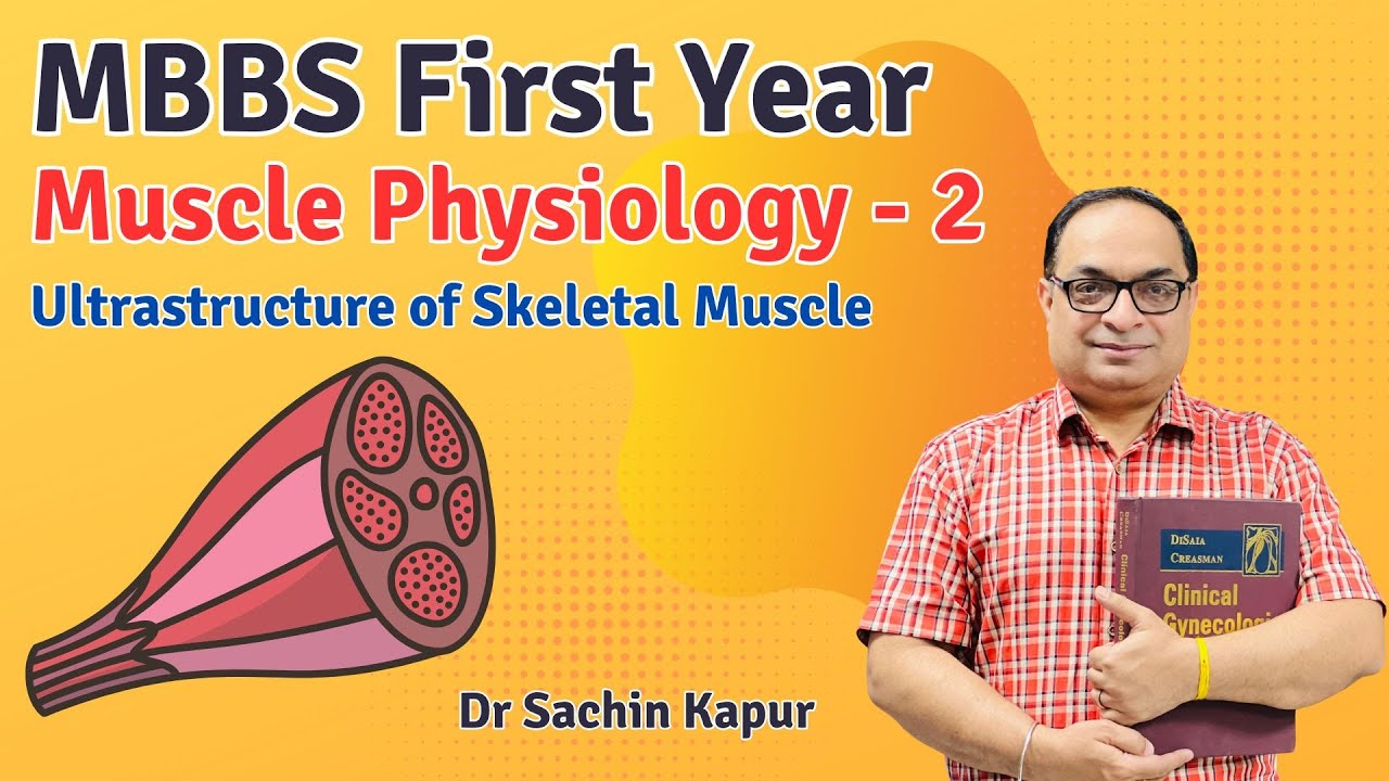 MBBS First Year | Muscle Physiology | Ultrastructure of Skeletal Muscle | Dr Sachin Kapur | AIIMS