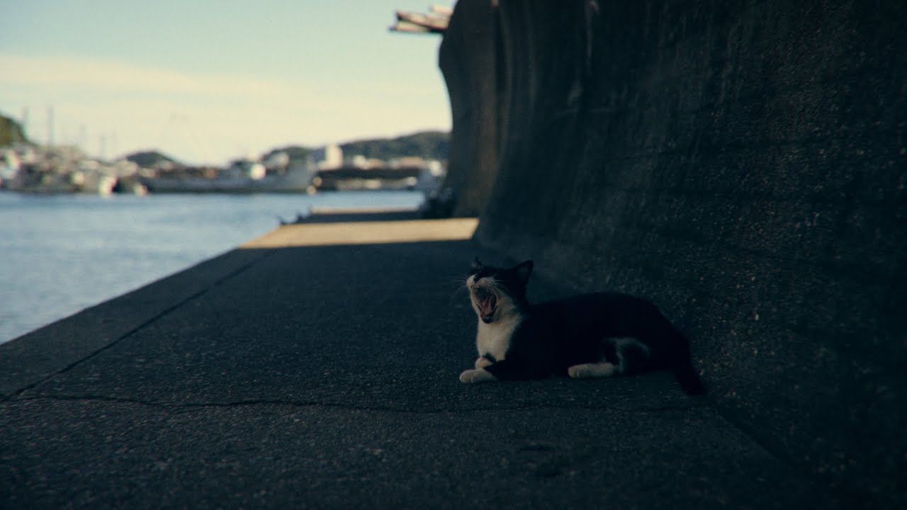 遠くの港町　土佐泊浦・小鳴門橋周辺 | 徳島県 鳴門町 | Cinematic Video | SONY FX3 | Music Made With Suno