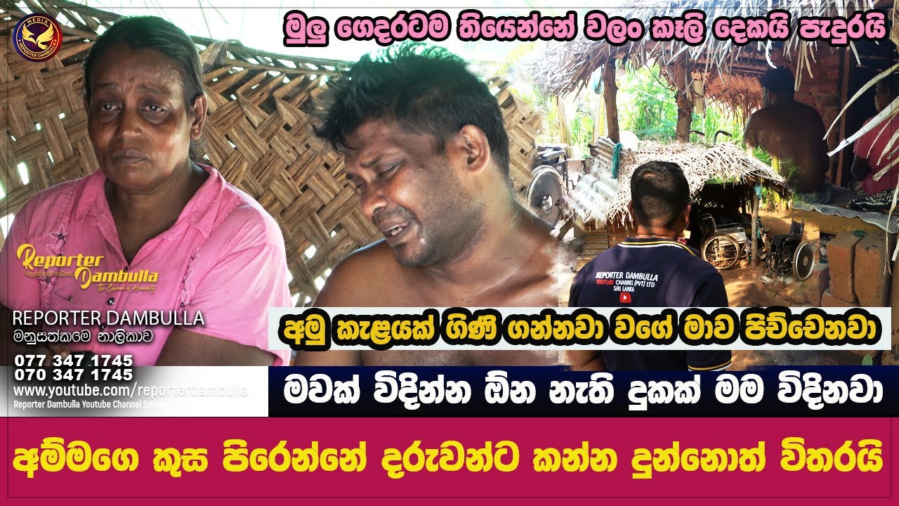 අම්මගෙ කුස පිරෙන්නේ දරුවන්ට කන්න දුන්නොත් විතරයි || Reporter Dambulla || Kumara Ihalagedara ||
