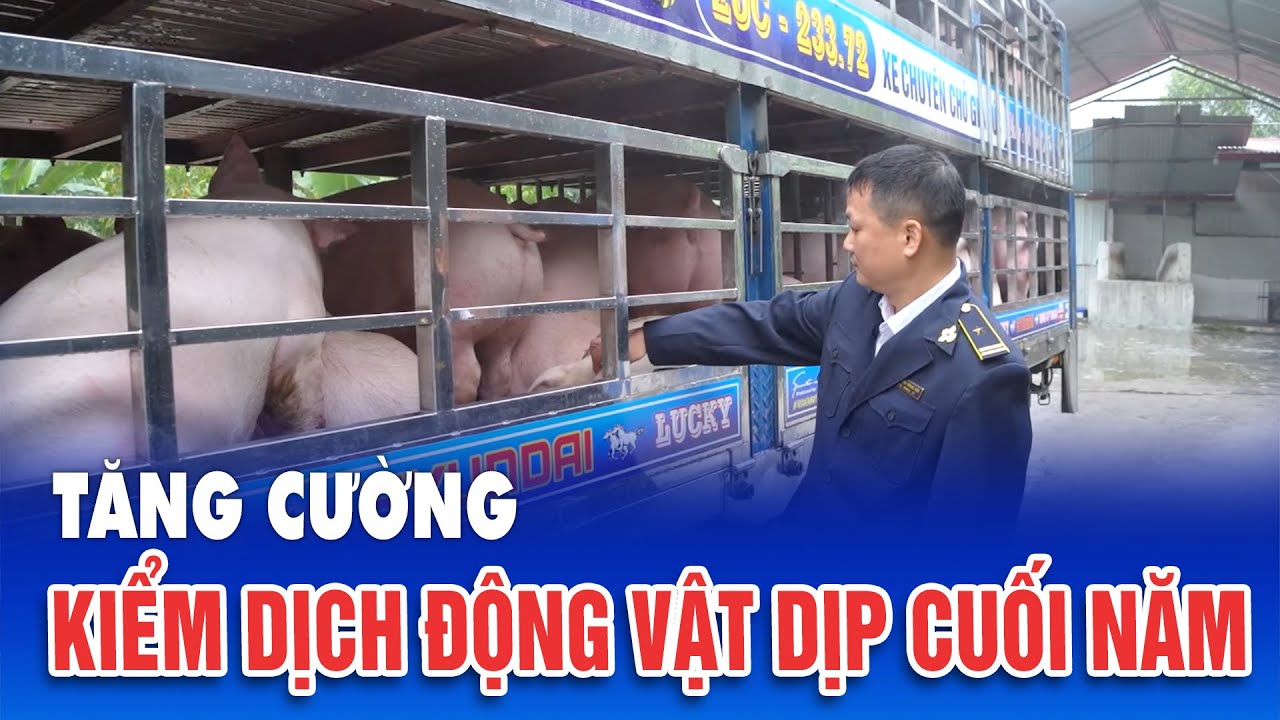 Tăng cường kiểm dịch động vật dịp cuối năm