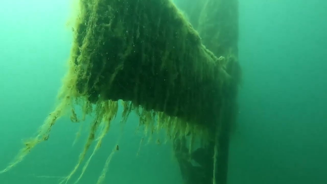 Flugzeugwrack und Sonnenbarsch Unterwasser