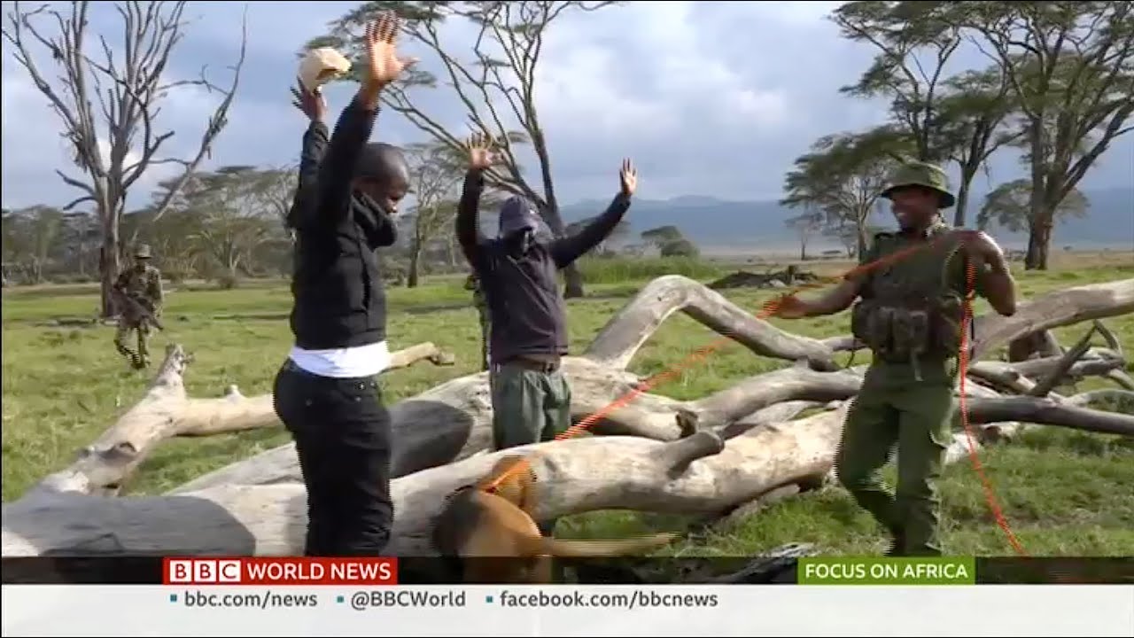 No Single Rhino Poached In 2020 In Kenya - BBC World News