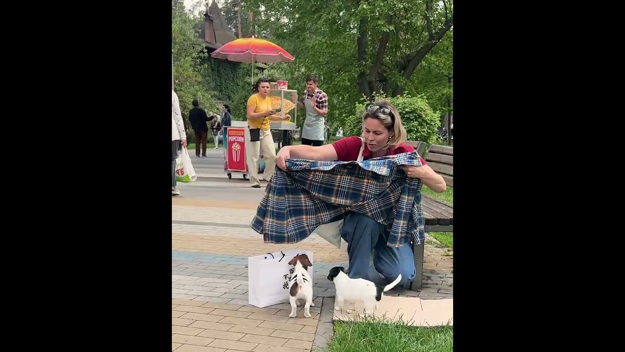 Small Paws, Big Hope – A Rescue Story That Will Touch Your Heart