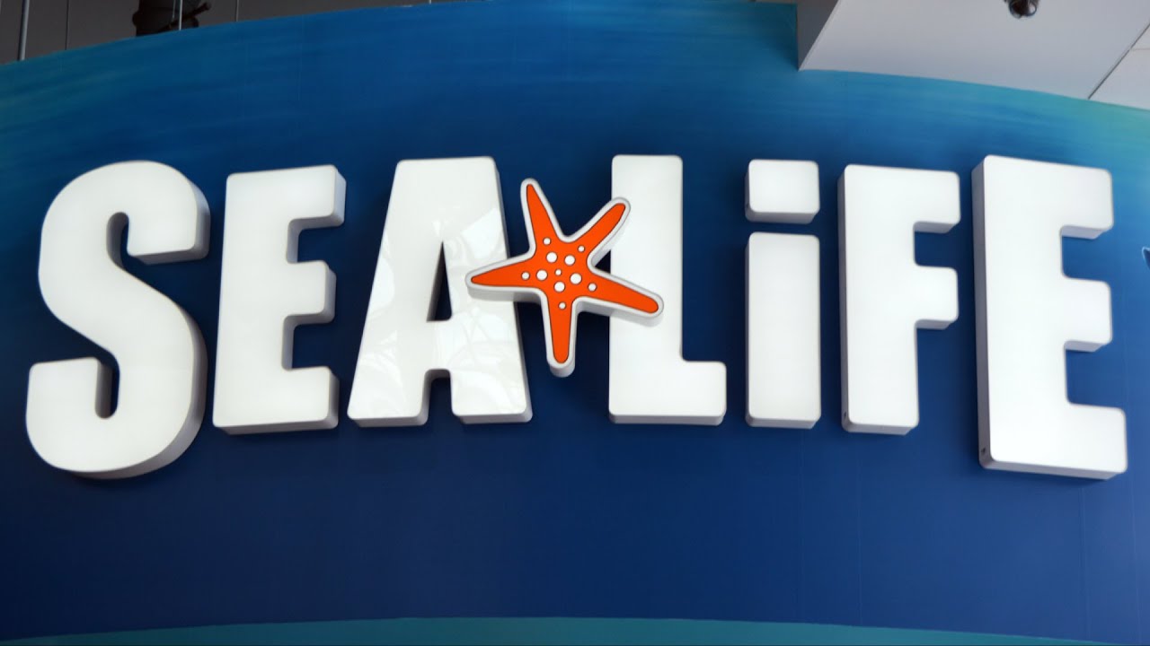 SEA LIFE Aquarium Orlando FULL Tour Including Sharks, Seahorses, Fish - I-Drive 360 at Orlando Eye