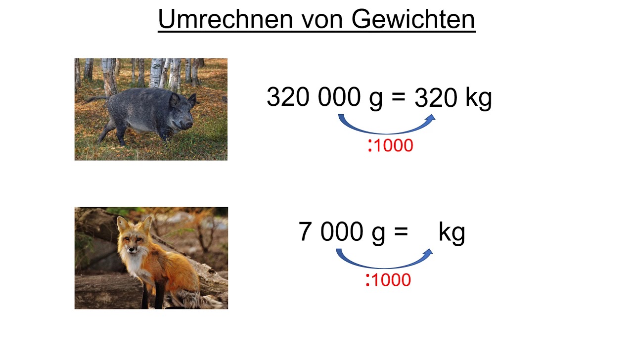 Umrechnung von Gewichten