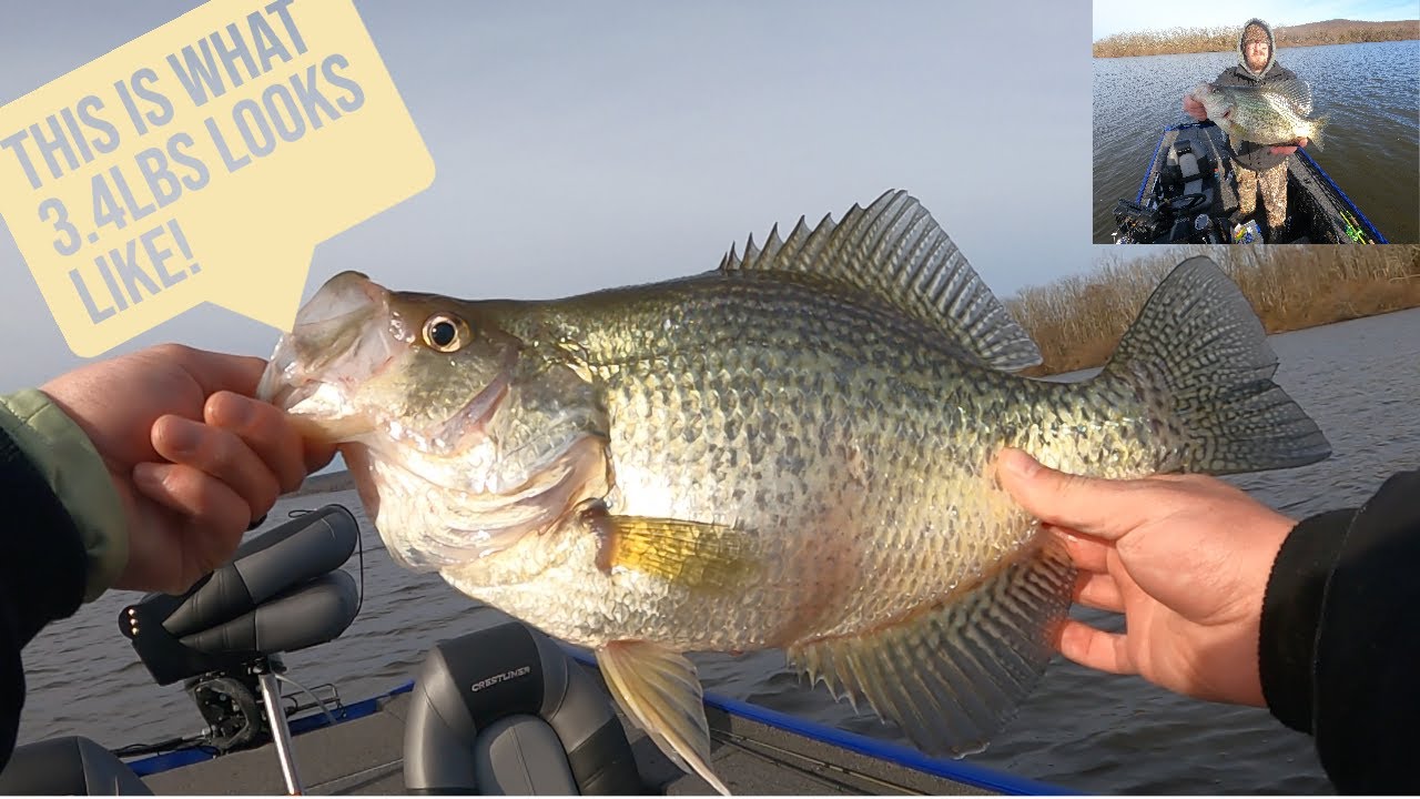 GIANT CRAPPIE AFTER GIANT CRAPPIE - Crappie Fishing - 3.4LB MEGA SLAB