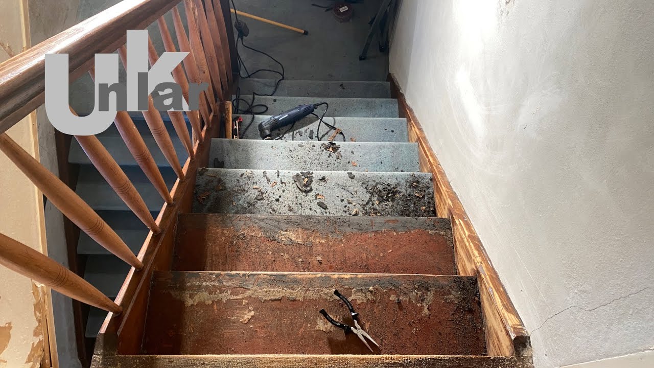 Entfernen von altem Teppichboden von einer Holztreppe