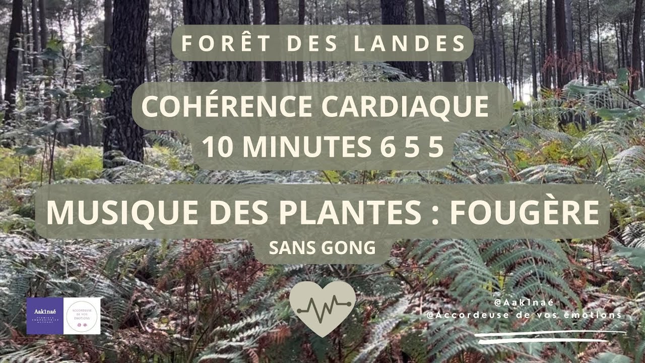 3.2 COHÉRENCE CARDIAQUE Forêt des Landes - 10min 6 5 5  - MUSIQUE DES PLANTES : Fougère