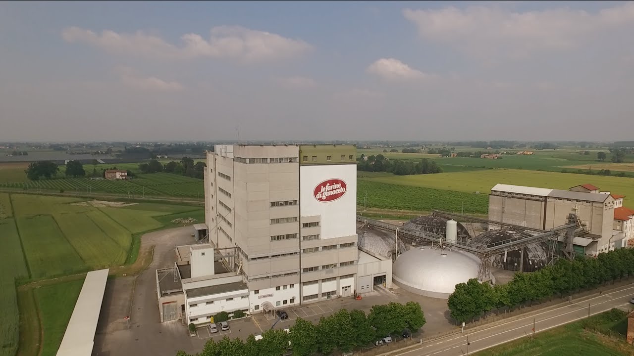 Progeo Molini - Farine professionali per vocazione