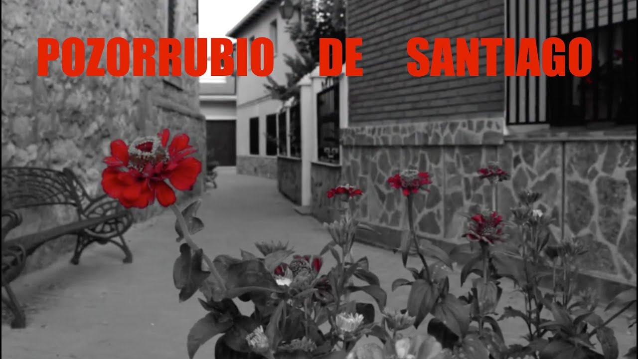 Pozorrubio de Santiago 2014