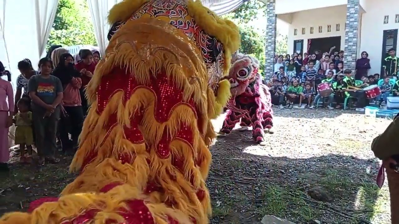 Barongsai atraksi