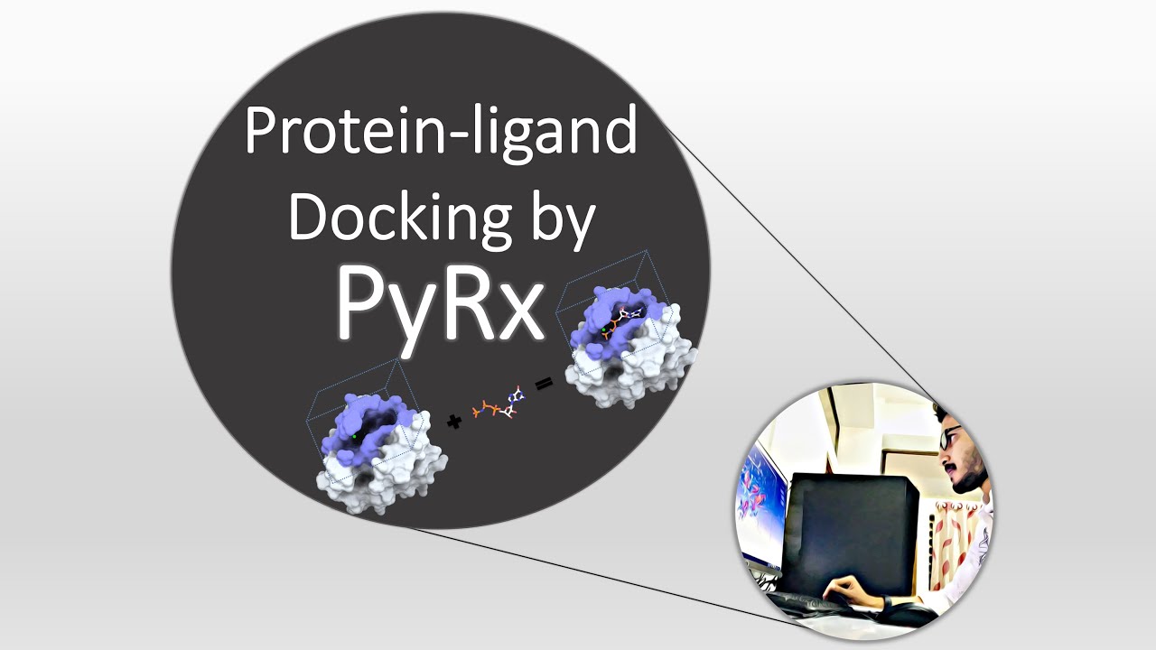 Protein ligand docking by using PyRx  Screening Tool Bangla Tutorial | Dawn of Bioinformatics