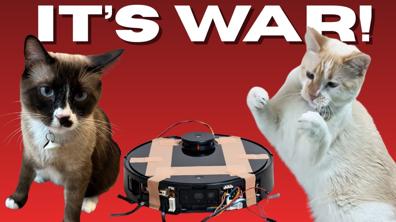 My Cats DESTROYED the Robot Vacuum (Revenge Story)