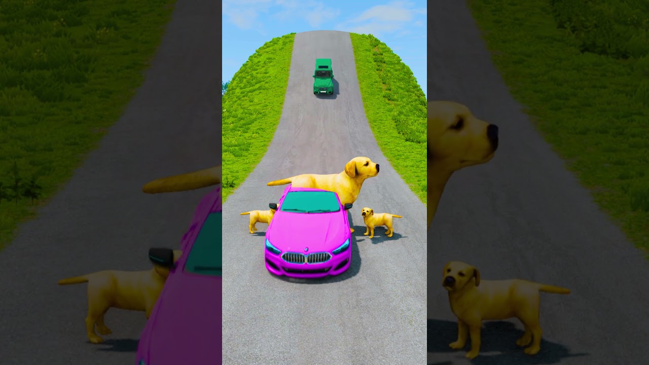 Big & Small Cars & Bus VS 3 Dogs - BeamNG.Drive