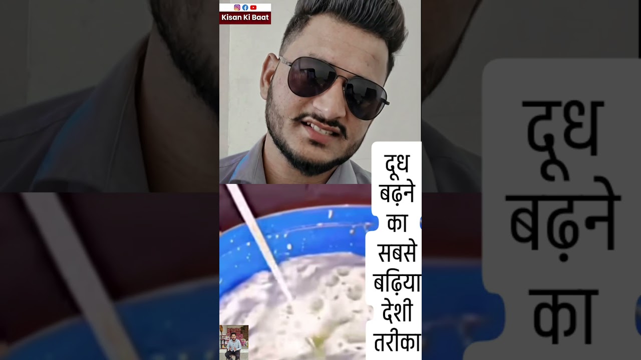 गाय-भैंस का दूध बढ़ाने का असली फार्मूला 🥛 | दाना नहीं, सही टाइम + जुगाली है राज | Dairy Farming Tips