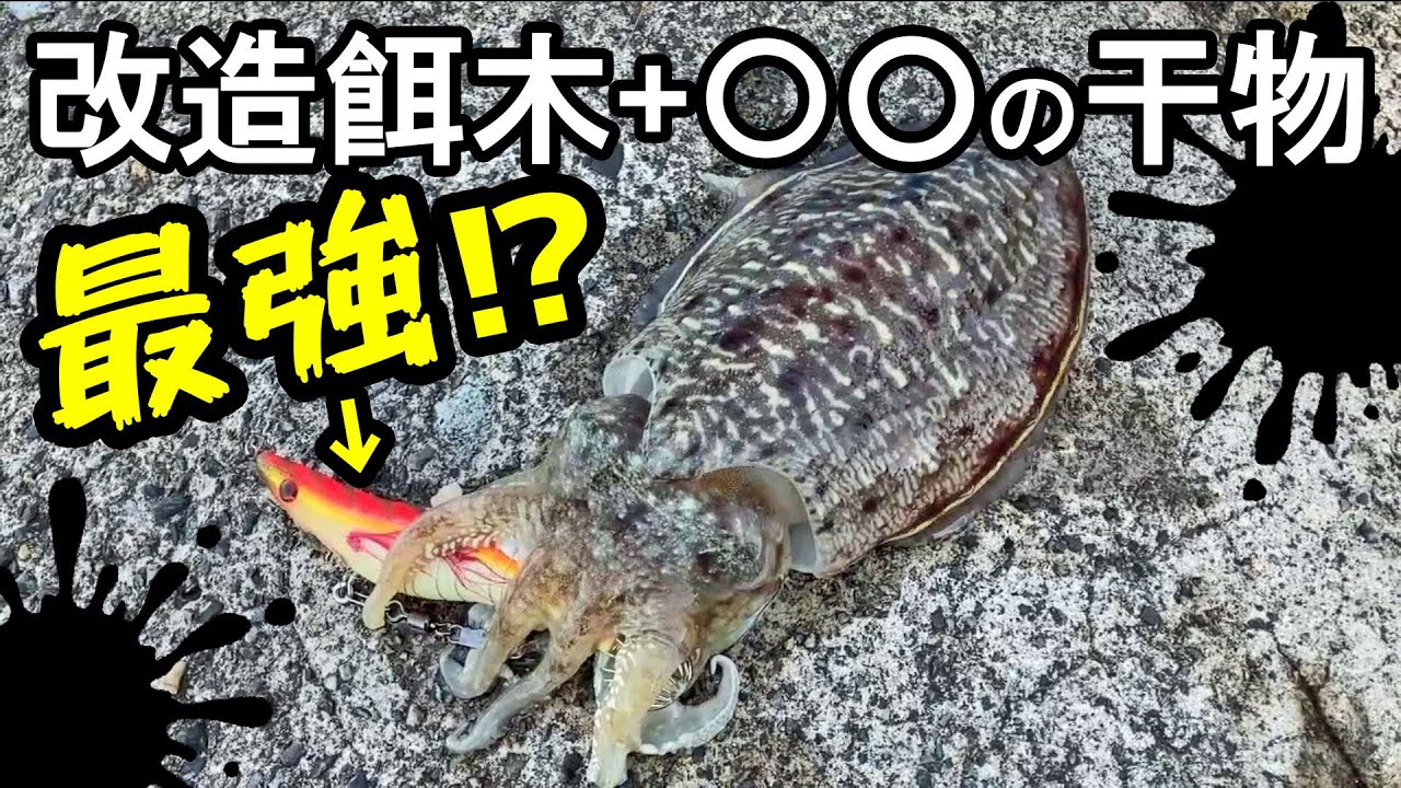 【エギング】コウイカを釣るならコレが最強では!?