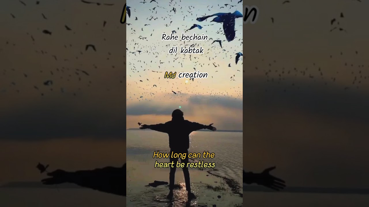 Ya ali x lyrics with english translation