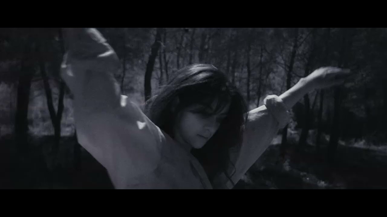 Youth Valley - Pegasus (Official Video)