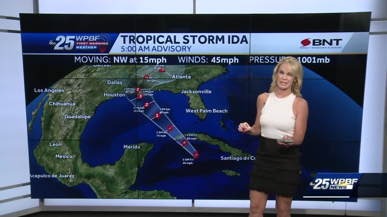 Tropical Storm Ida