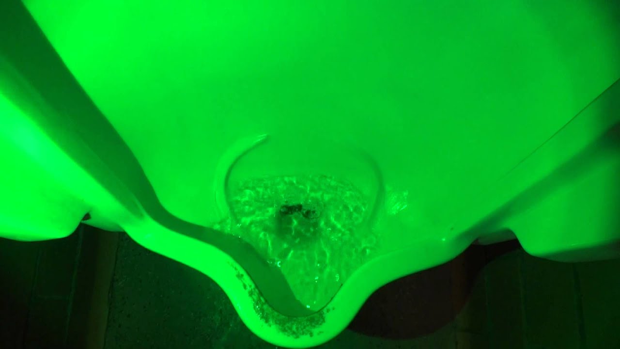 Bathroom Tour: Vintage Crane Urinal and Santon Toilet in Bristol