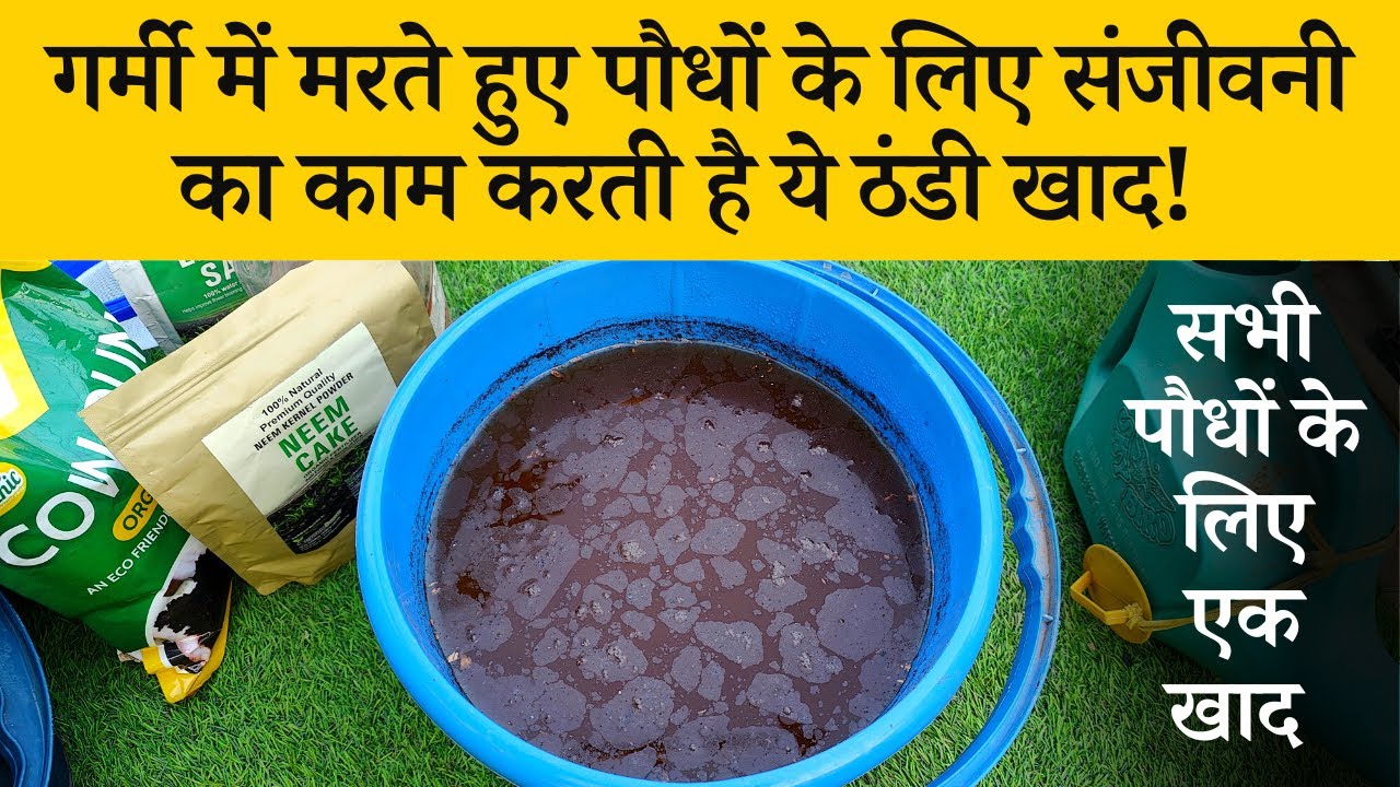 गर्मी में मरते हुए पौधों के लिए संजीवनी का काम करती है ये ठंडी खाद! Paudhon Ke Liye Thandi Khad