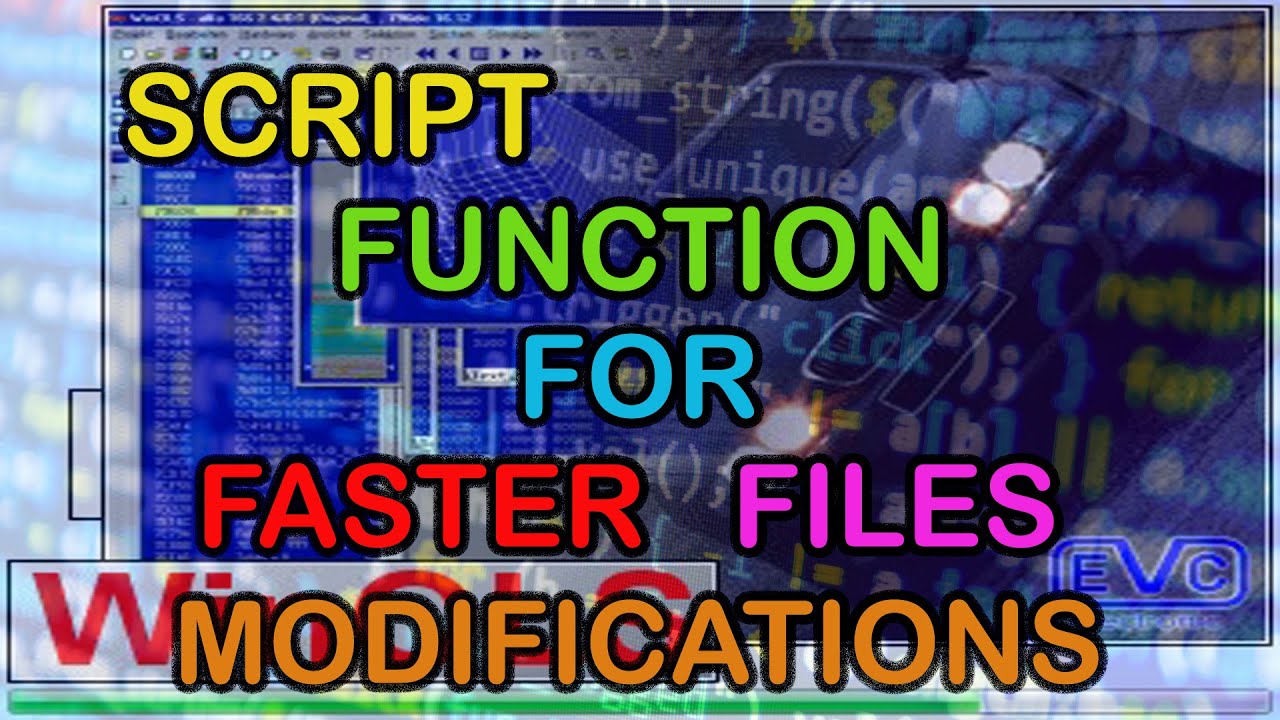 WinOLS Script function for faster files modifications
