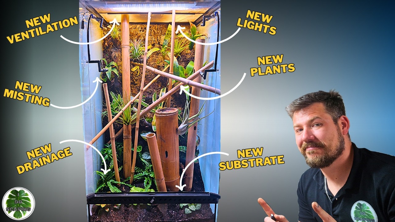 Я испортил террариум своей мечты... Вот как я это исправил.