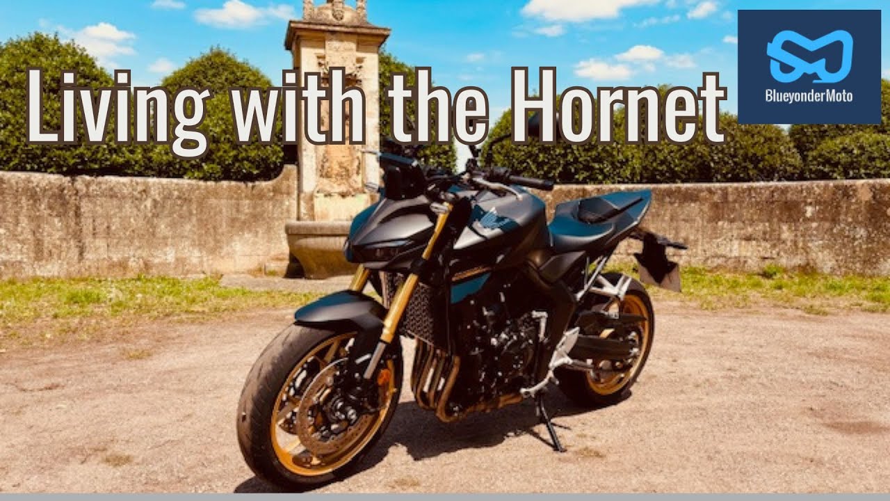Hornet 1000SP- Owner's pros and cons review