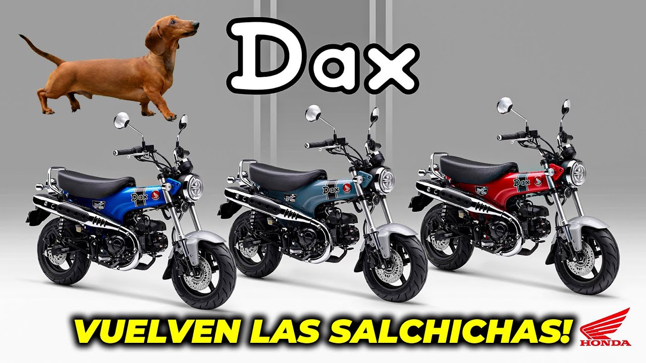 La VIDA NOS SONRÍE, vuelve la QUERIDA DAX