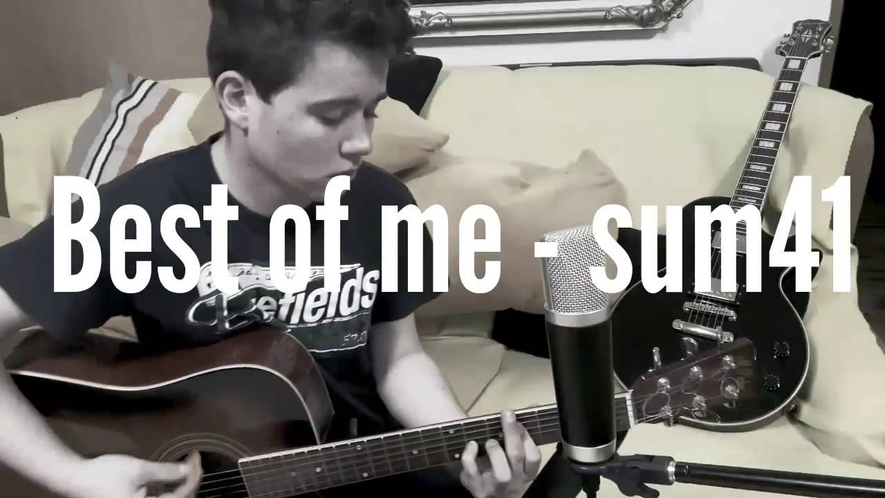 Sum41 - Best of me (acoustic cover  by Honza Daleck&yacute;)