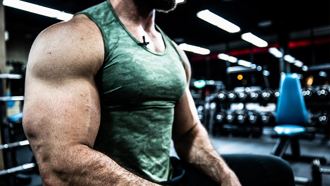 How To Get Big FREAKING Arms (BICEPS & TRICEPS WORKOUT)