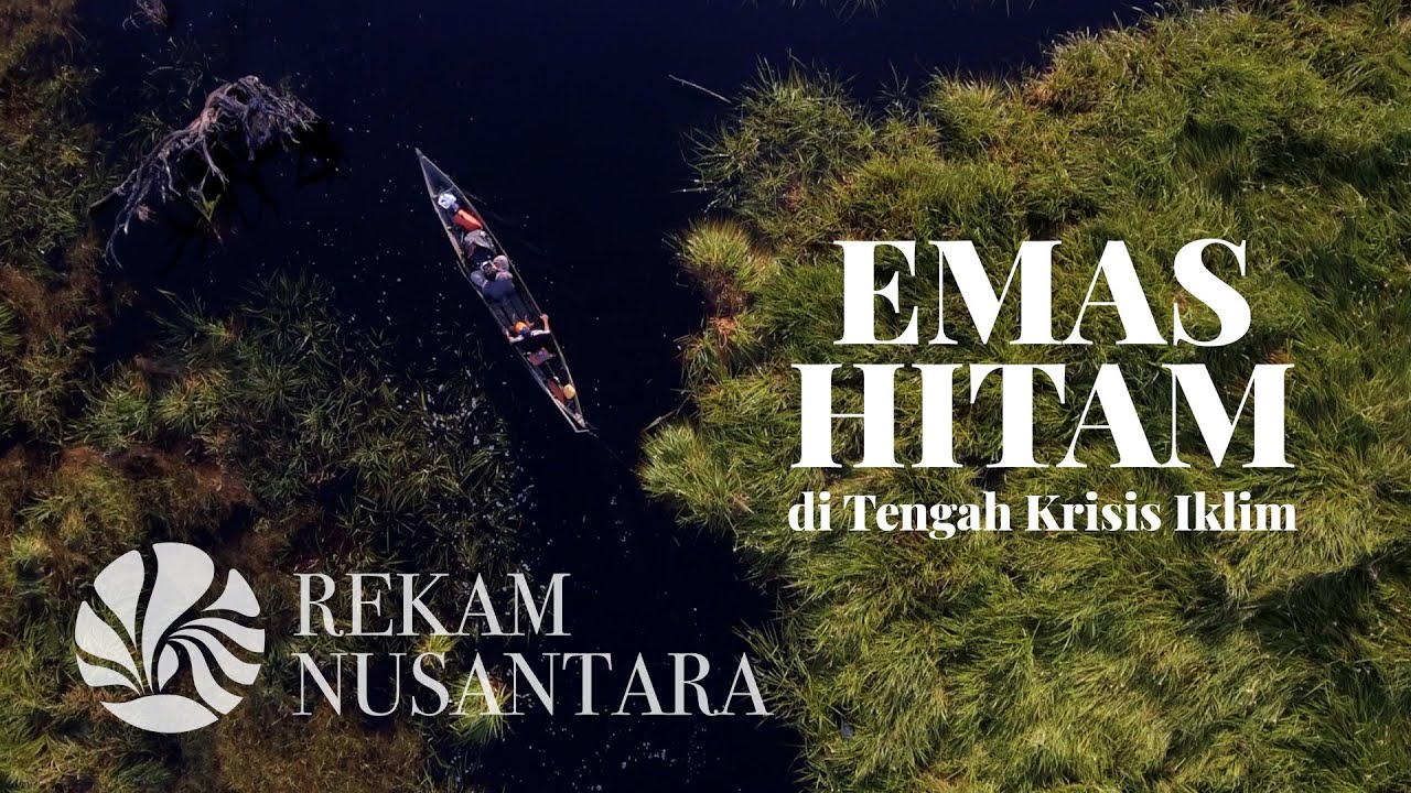 #NusantaraKaya | Emas Hitam di Tengah Krisis Iklim