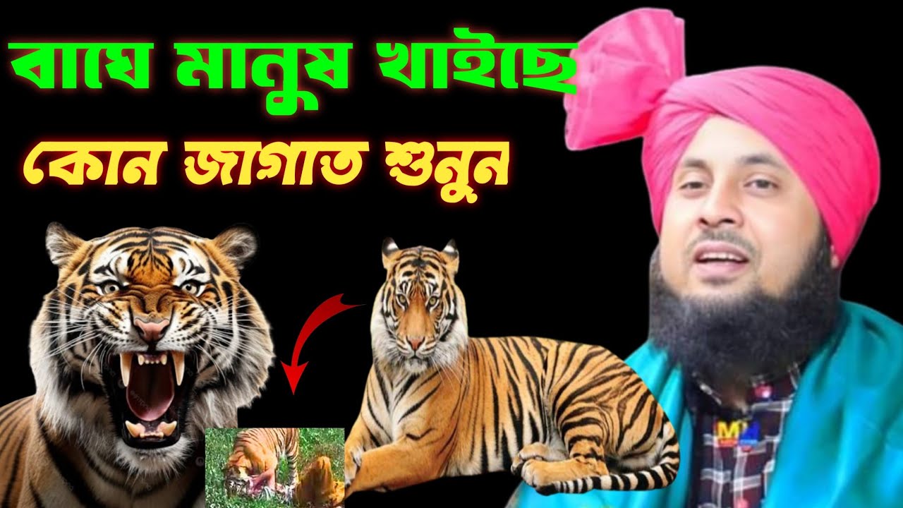 আলহাজ্ব হযরত মাওলানা কারী নজরুল ইসলাম সাহেব রাতাবাড়ি Hazrat Maulana Qari Nazrul Islam Saheb Bangla