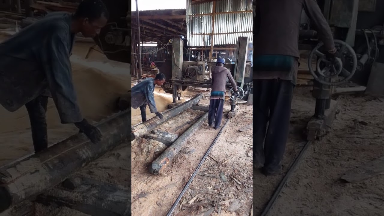 Sawmill work no easy 