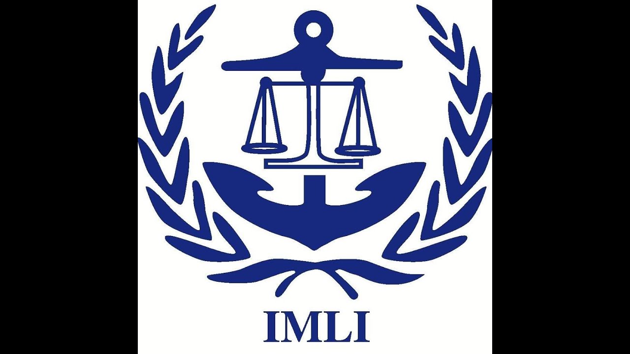 IMLI Promotional Video