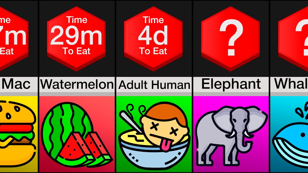 Comparison: How Long Would it Take You to Eat These?