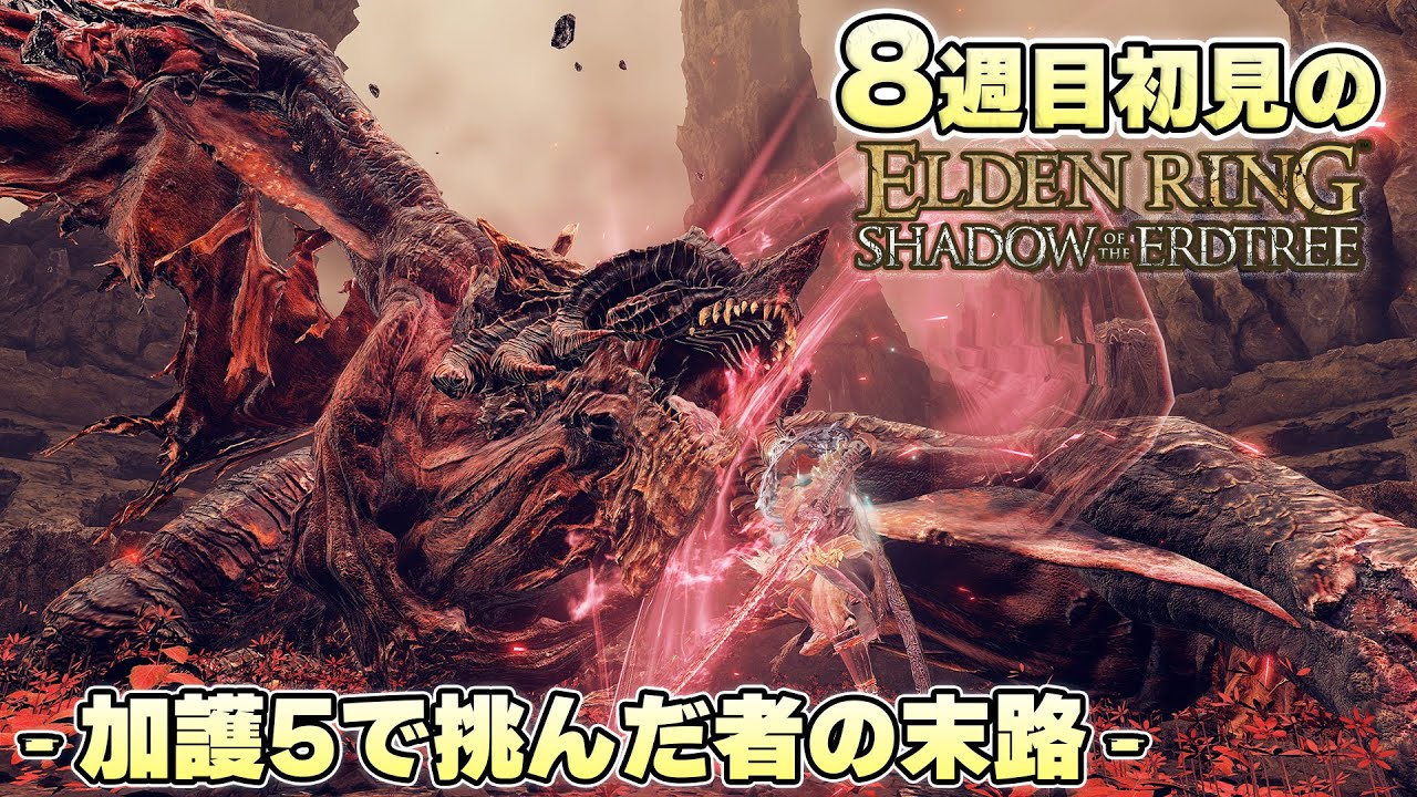 『絶対今じゃない！でも引き返せないっ！！』カンストベールにボコボコにされる褪せ人【ELDEN RING実況】
