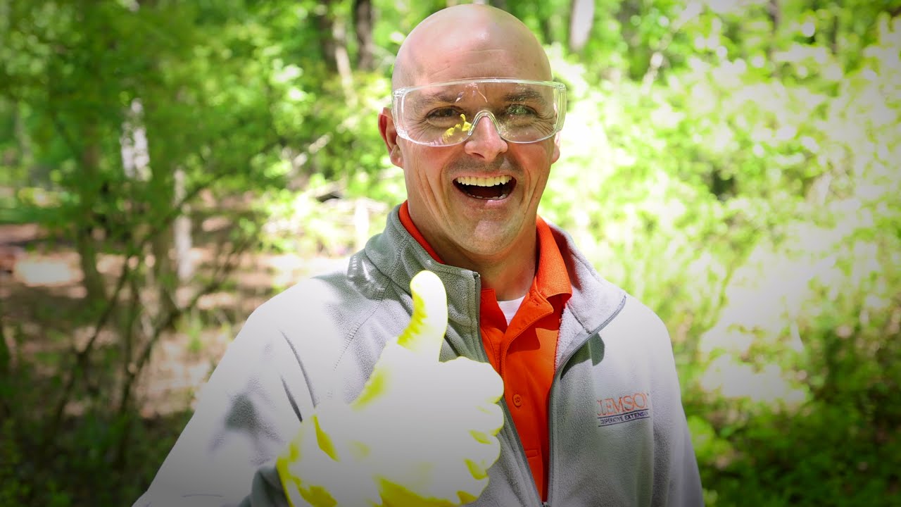 Privet Identification and Control