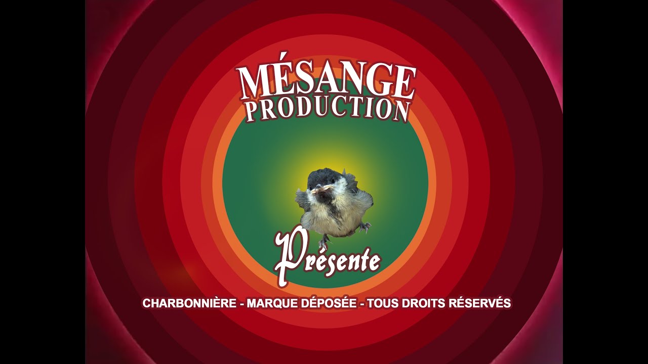 Les mésanges : épisode 27
