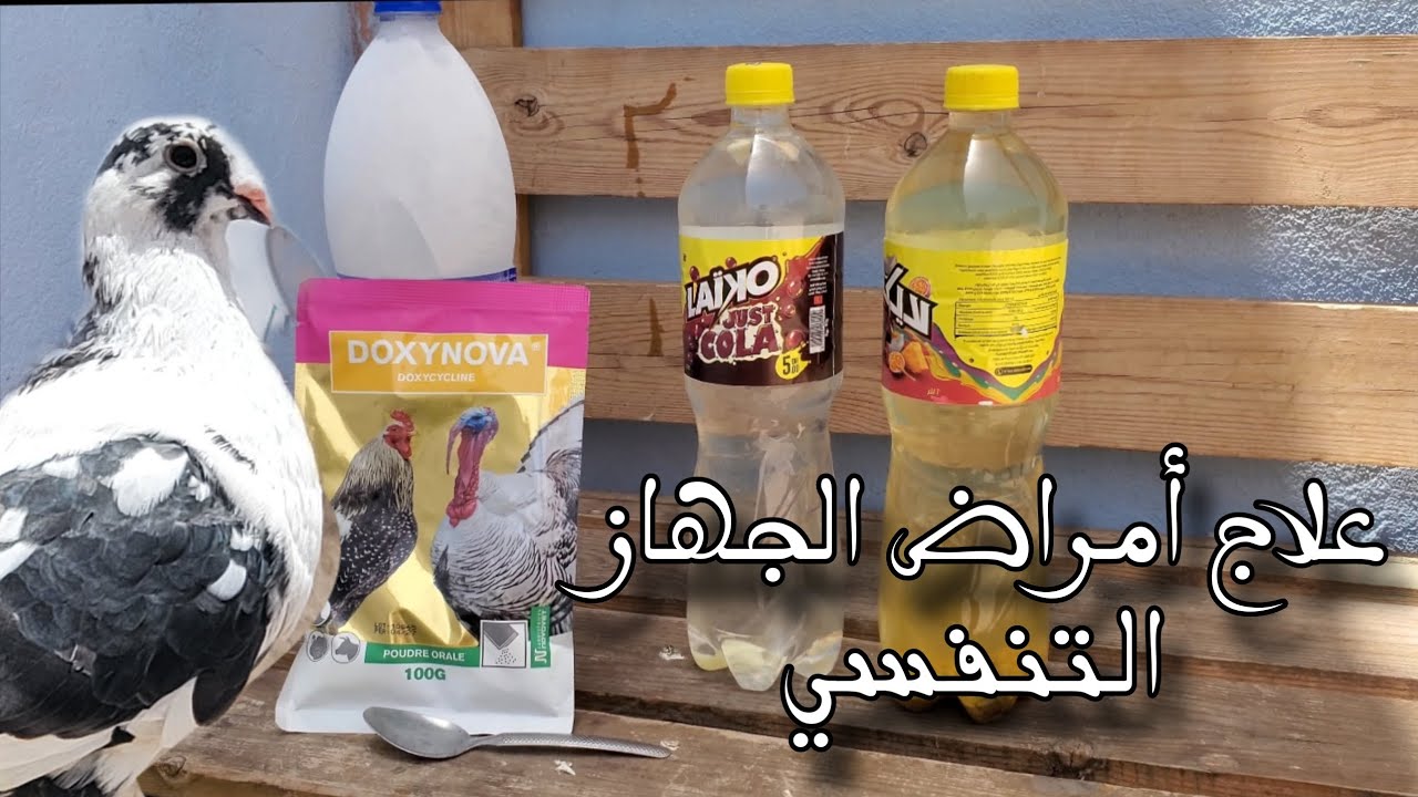 علاج الشخرة وأمراض الجهاز التنفسي✅️🕊